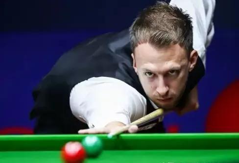 凤凰与梧桐 凤凰与梧桐