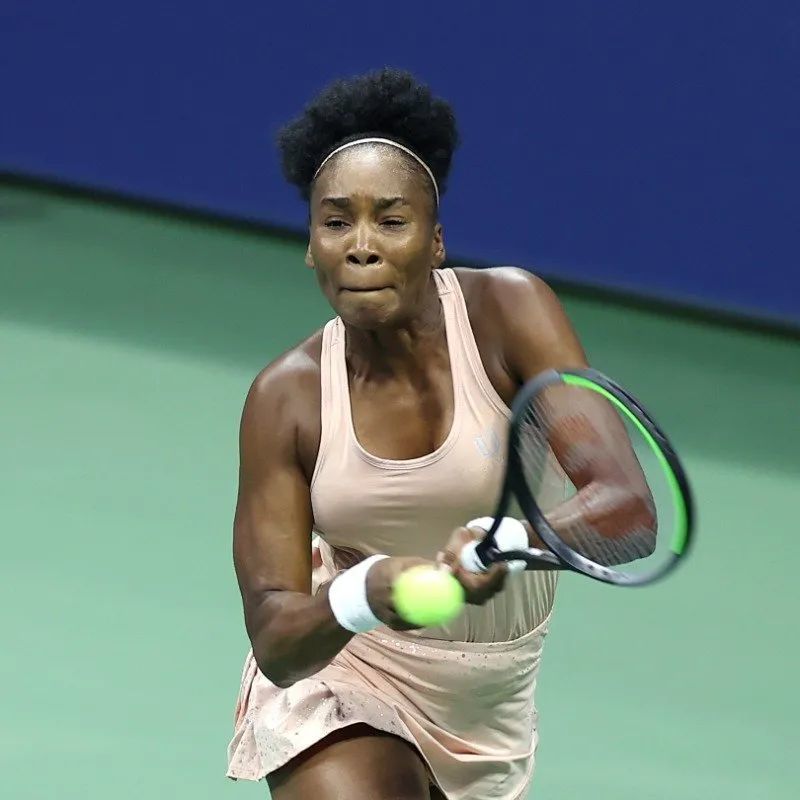 的完美展示 的完美展示