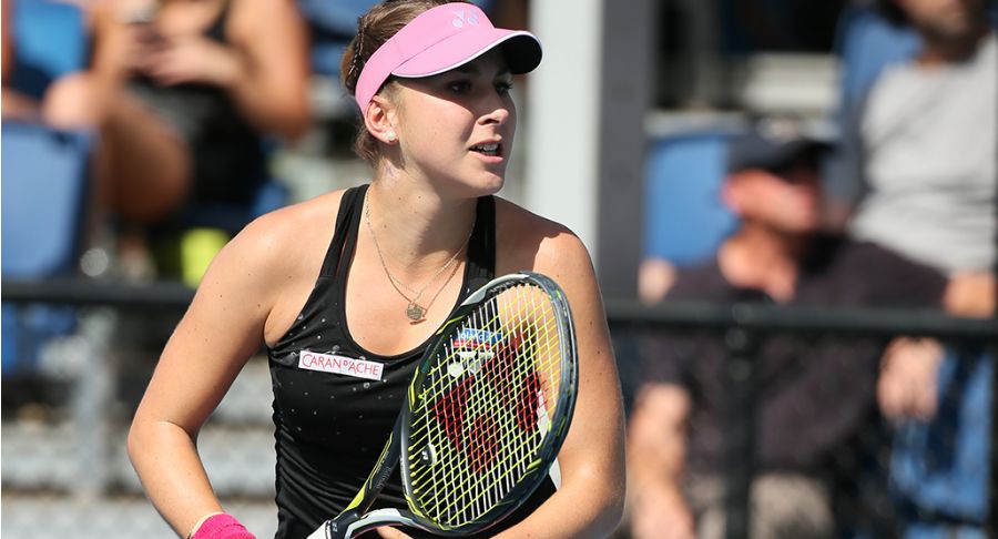 引了众多选 引了众多选